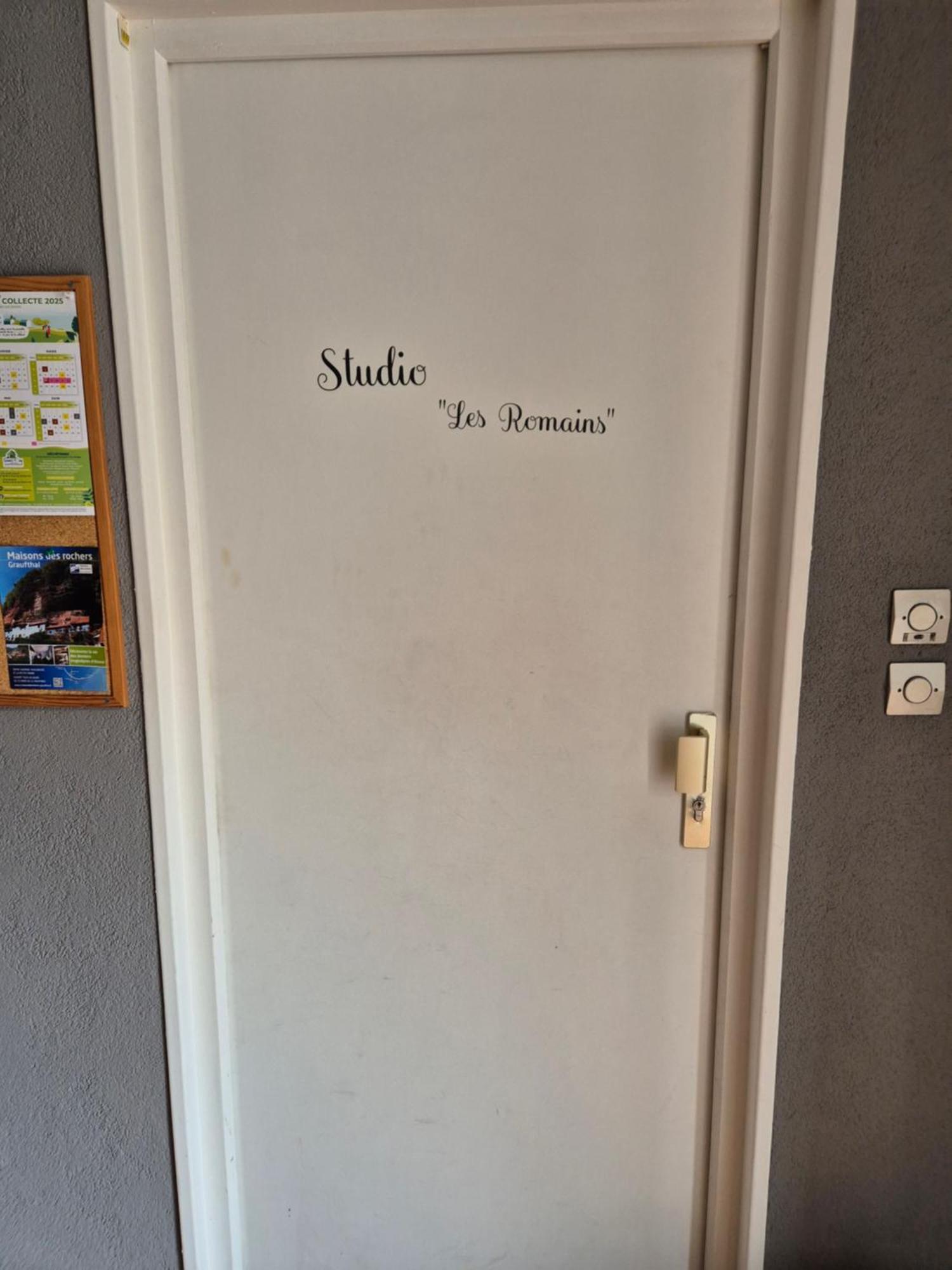 1 Rue Des Romains Studio Meuble Clauss นีเดอร์บรอนน์-เลส์-แบ็งส์ ภายนอก รูปภาพ